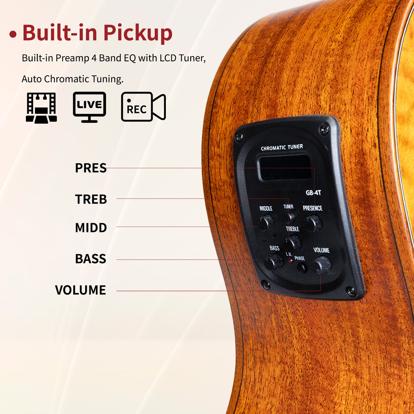 WISHMADE Acoustic 5 String Bass Guitar, Hollow-Body Electric Guitar with F-Holes for adults, Flamed Maple Top With Gig Bag