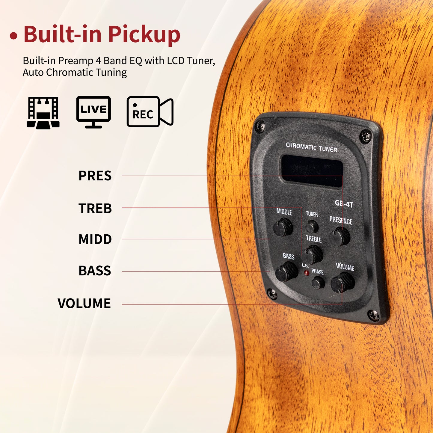 WISHMADE  Acoustic Bass Guitar with F-Holes | 5 String Bass Guitar forbandsman adults, Flamed Maple Top With Gig Bag